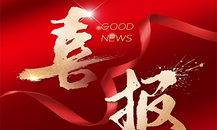 喜报丨leyu·乐鱼(中国区)在线官方网站 - 登录入口入选2024粤港澳大湾区企业创新力榜单